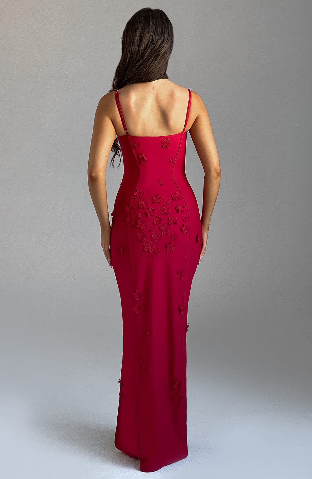 Flourenne Dalyra Maxi Dress in Red Lined