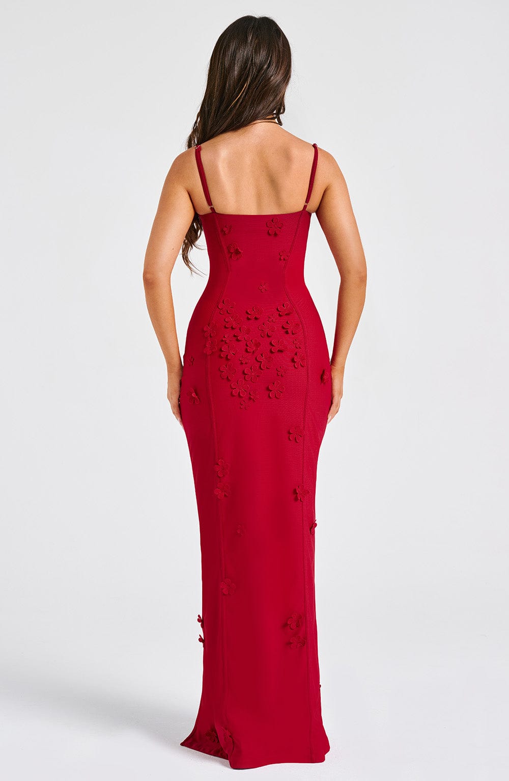 Flourenne Dalyra Maxi Dress in Red Lined