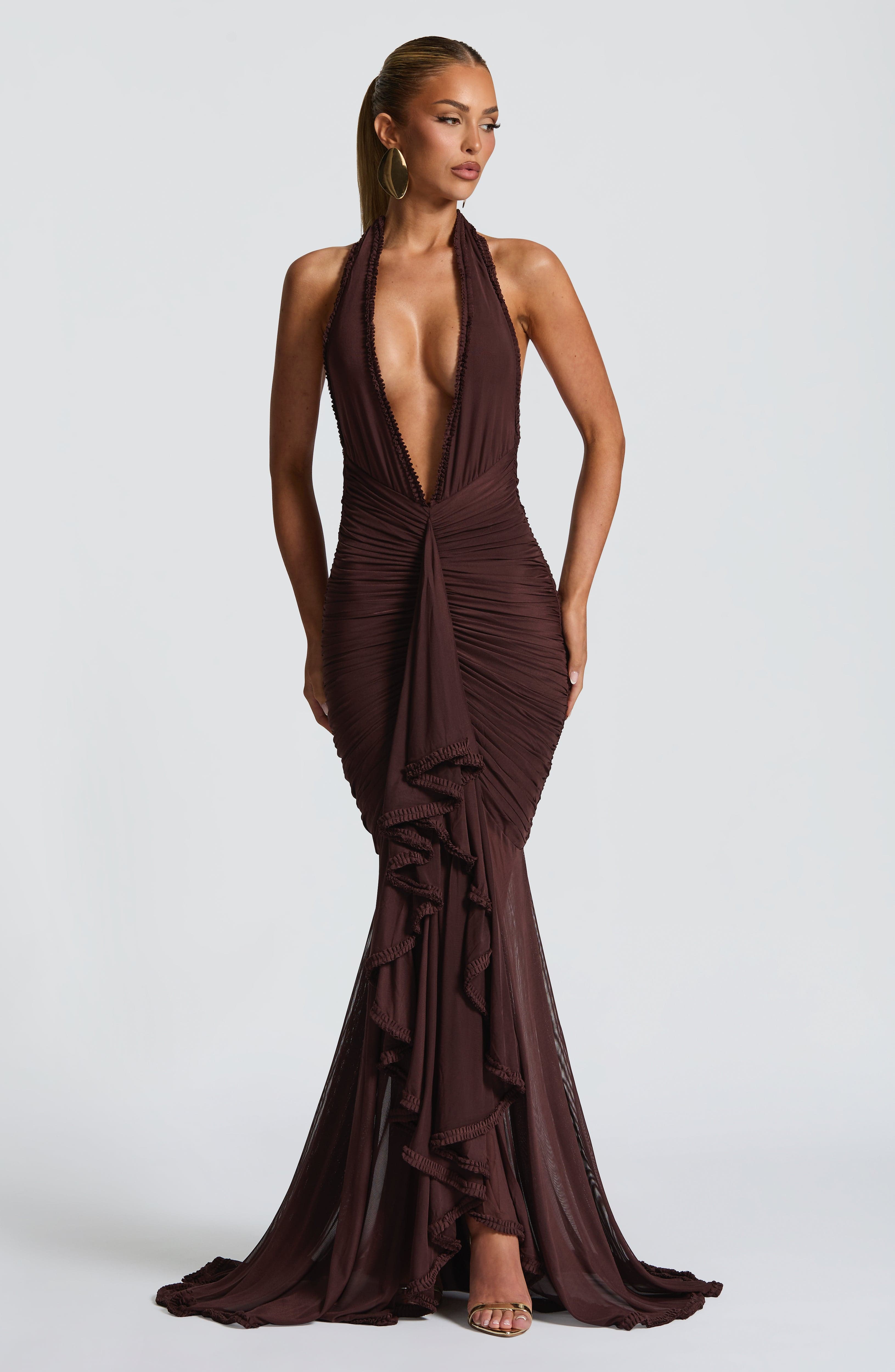 Flourenne Janesse Maxi Dress in Plum Brown