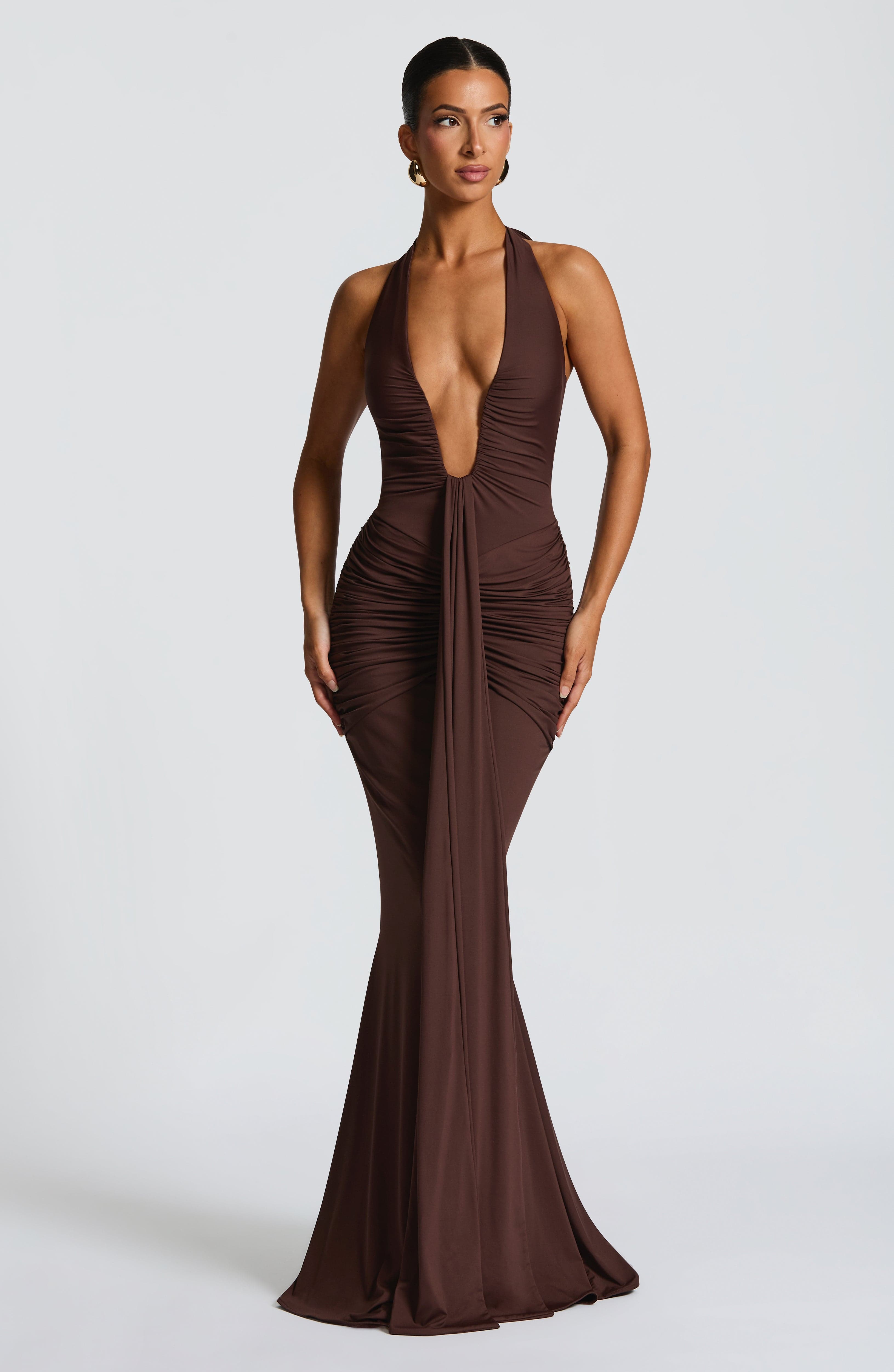 Flourenne Rosetti Maxi Dress in Plum Brown