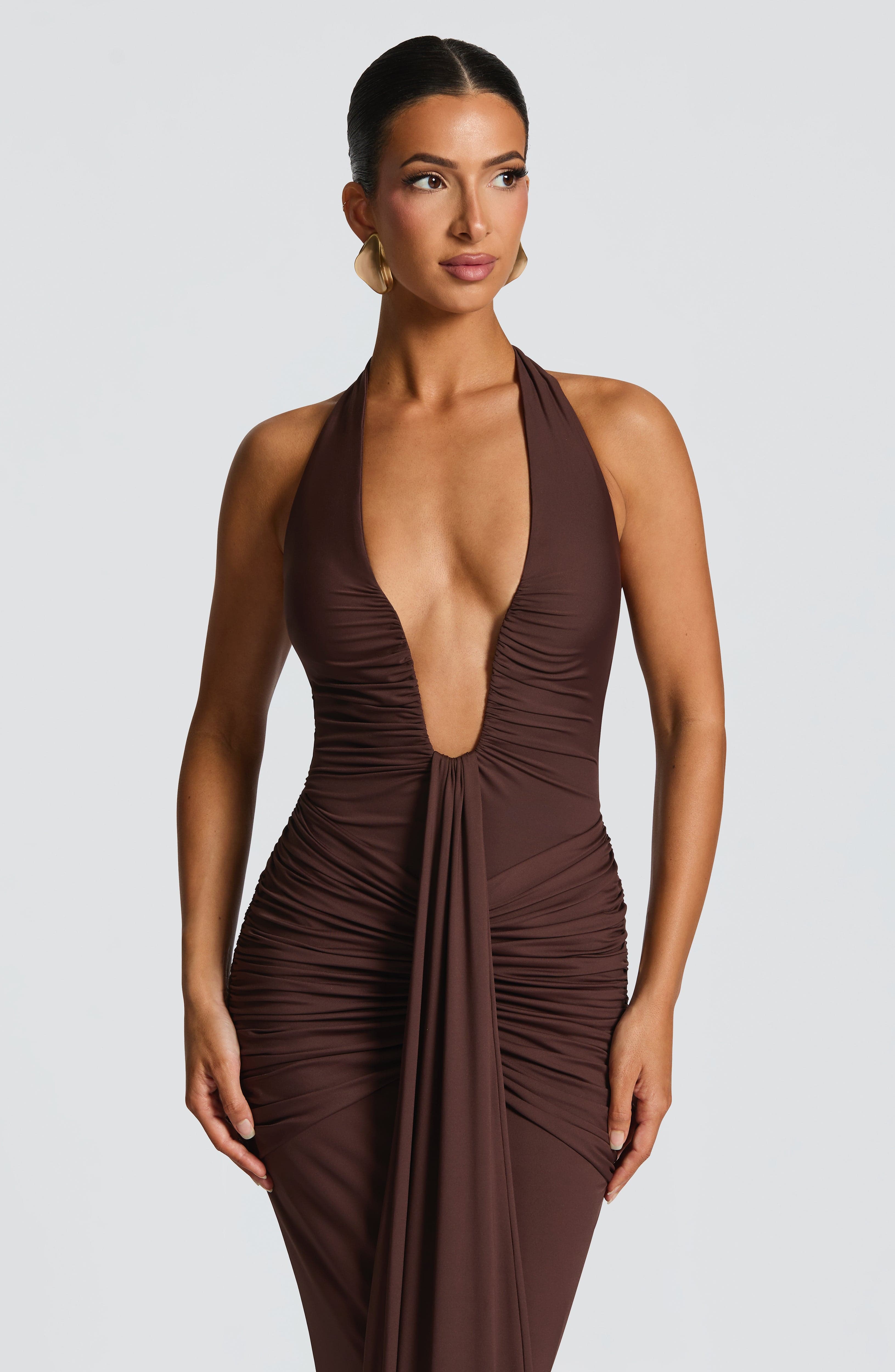 Flourenne Rosetti Maxi Dress in Plum Brown